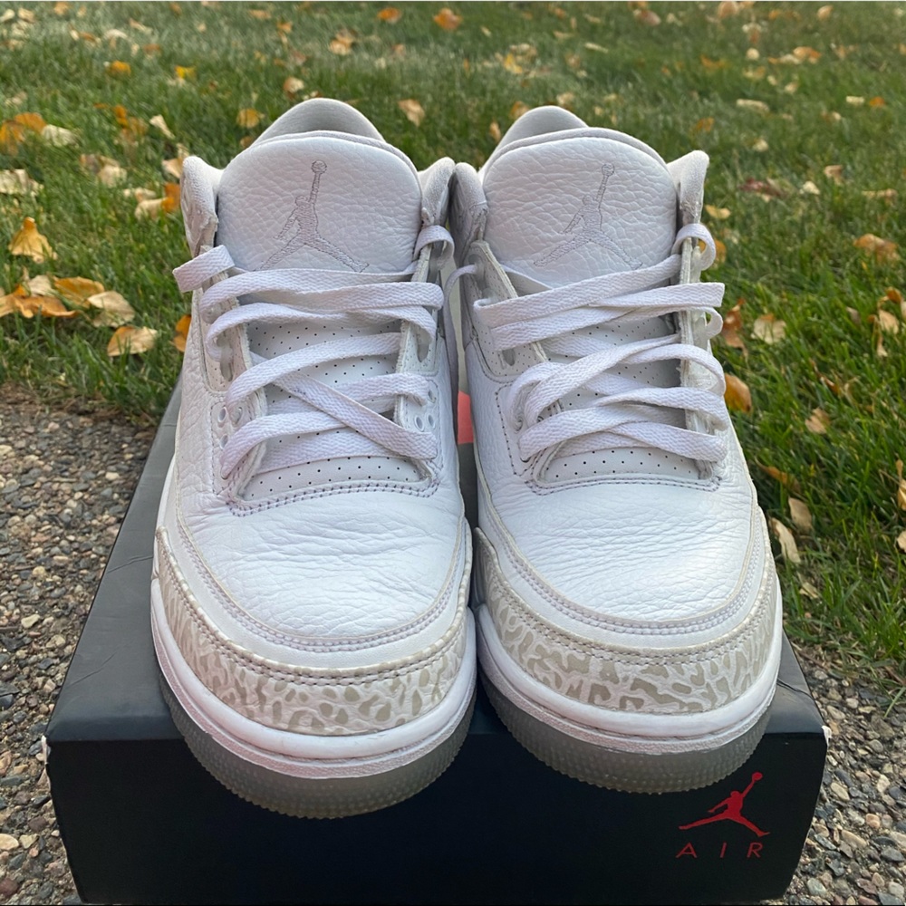 Jordan Retro 3 Pure Money
